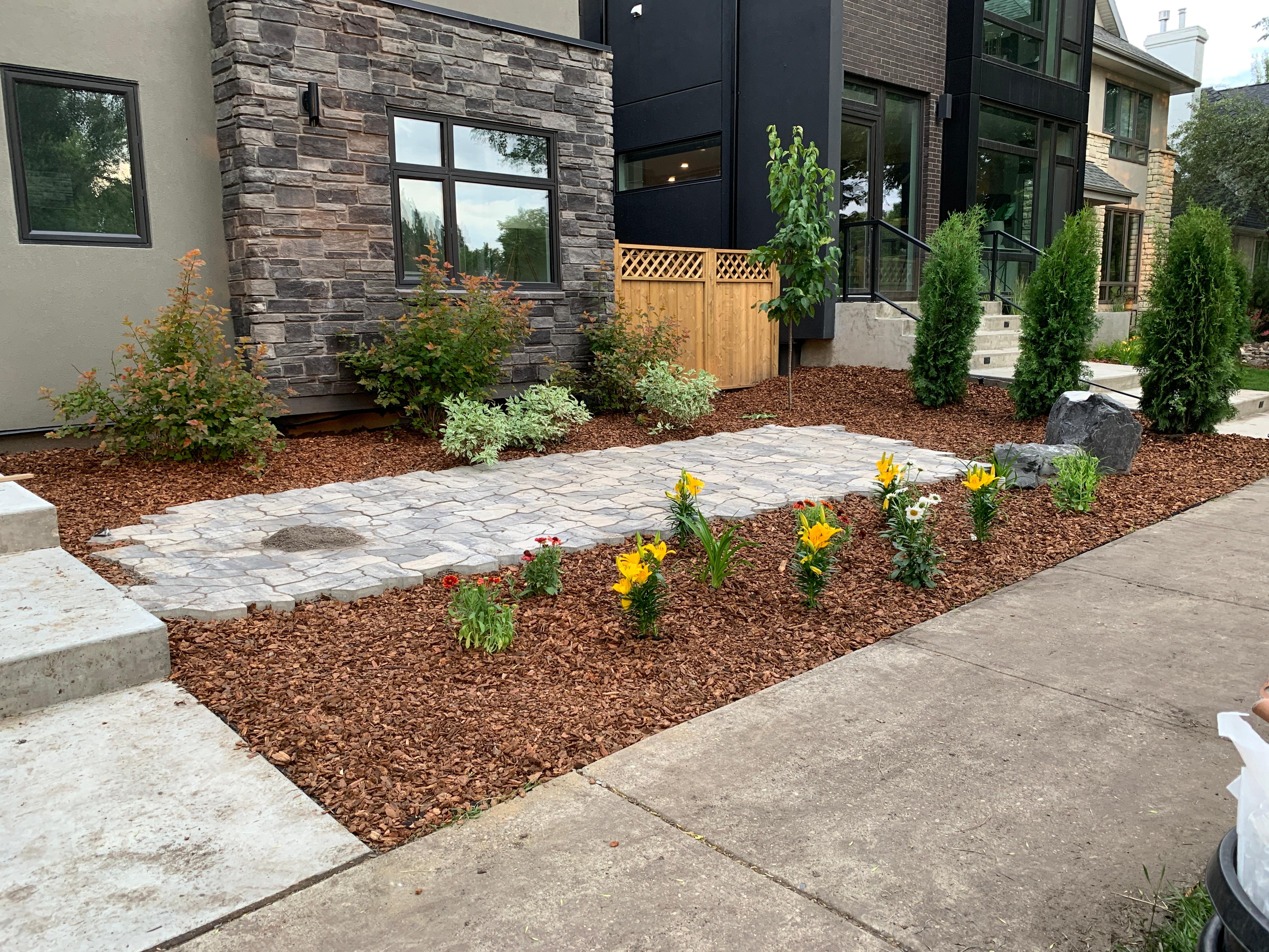 ALA Landscaping front yard landscaping with mulch beds, cedar trees, and paver pathway